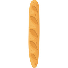A Single Baked Baguette Bread With Golden Brown Crust And Scoring Marks On A Transparent White Background Isolated Image