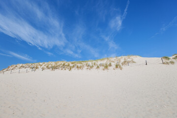 Shifting sand dunes in Łeba. Beautiful desert landscape. . Coastal landscape. Poland. Slowinski National Park. Grasses growing on the dunes