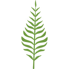 A Single Green Fern Leaf With A Transparent Background Detailed Botanical Illustration With Natural Elements And Organic Shapes