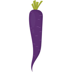 A Single Purple Carrot With Green Stalks On A Transparent Background