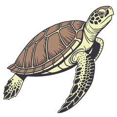 turtle animal vector art free download 