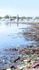  Macro close-up of trash and debris floating on a marsh water surface. Shallow focus highlights textures and reflections, emphasizing environmental damage and awareness. Great for eco-educational