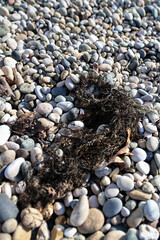 Sunny rocky beach on the Black Sea coast in Abkhazia during spring-summer. Turquoise waves crash against pebble shores under golden sun. Idyllic subtropical paradise with clear skies and warm light. P