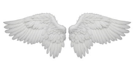 Pair of White Angel Wings with Detailed Feathers isolated on a transparent background white wings