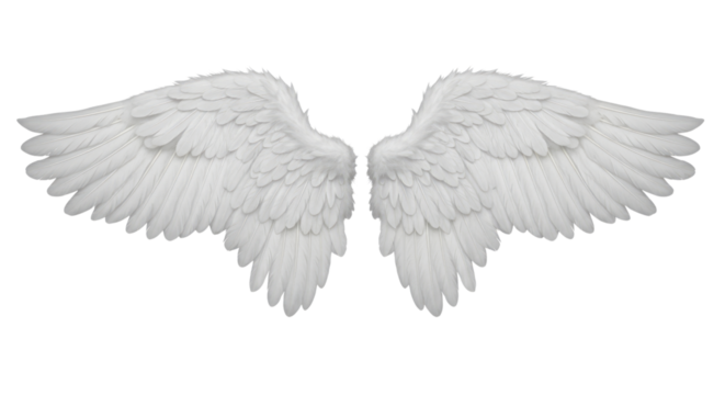 Pair of White Angel Wings with Detailed Feathers isolated on a transparent background white wings