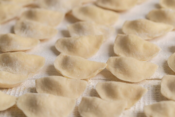 Close Up Traditional Raw Ukrainian Varenyky