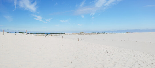 Shifting sand dunes in Łeba. Beautiful desert landscape. The Baltic Sea on the horizon. Coastal landscape. Poland. Slowinski National Park. Panorama