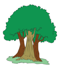 Three forest friends with green crowns