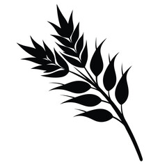 oat branch black and white silhouette on white background