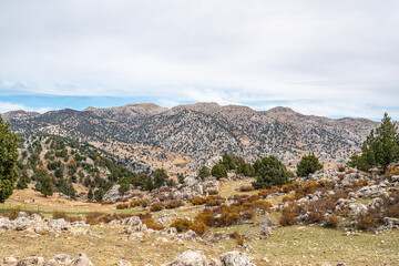 Obraz premium The scenic views of the countryside of Elmalı, Antalya, in the autumn season, with colorful leaves