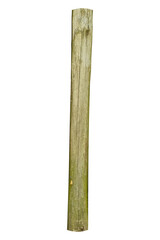 Weathered wooden fence post with cracks and green moss is isolated. © Dmytro