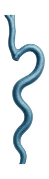Elongated, flexible structure of the jugular vein with a bluish hue.
