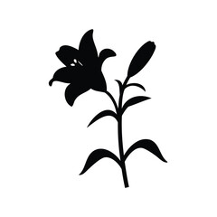 Elegant Black Lily Flower Silhouette on a White Background for Print