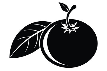 monk fruit black and white silhouette on white background