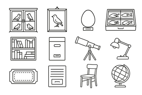 Ornithology Museum Icons. Line style icons of ornithology museum: display cabinet, framed bird, labeled egg, specimen drawer;