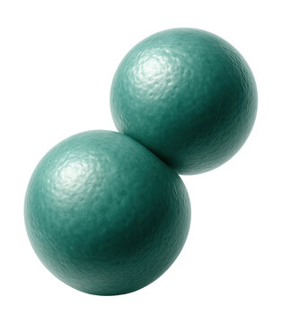 Two spherical diplococci bacteria with shiny surfaces.