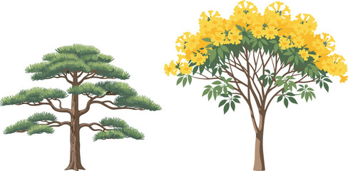 Stylized bonsai-like tree and flowering yellow tree side by side, botanical contrast, seasonal foliage, nature diversity, spring bloom, forest flora, educational illustration, landscape design referen