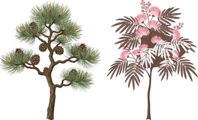 Pine tree illustration, mimosa tree artwork, botanical contrast, needle foliage, pink flowers, nature diversity, coniferous and flowering trees, educational design, seasonal flora, ornamental branches