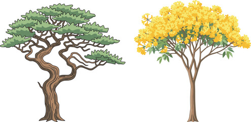 Stylized bonsai-like tree and flowering yellow tree side by side, botanical contrast, seasonal foliage, nature diversity, spring bloom, forest flora, educational illustration, landscape design 