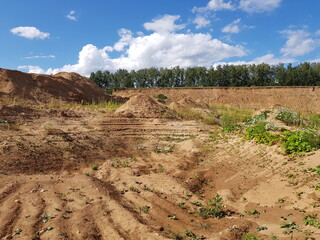 Sun-drenched sand quarry with eroded slopes and raw earth mounds under a vast summer sky, showing nature's resilience reclaiming the industrial landscape