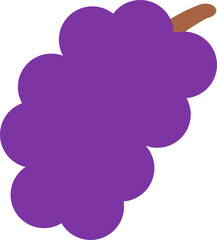 Grape illustration 