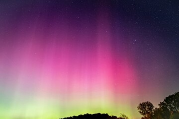 Vibrant Pink and Green Northern Lights Over Tree Line