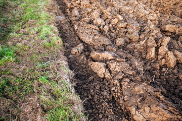 Freshly plowed field in autumn beside green grass. Fertile soil prepared for winter and spring planting, showing texture and furrows after agricultural work.