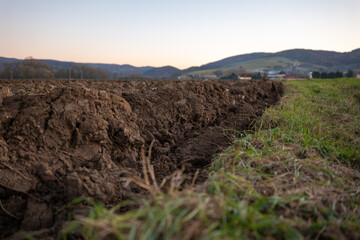 Freshly plowed field in autumn beside green grass. Fertile soil prepared for winter and spring planting, showing texture and furrows after agricultural work.