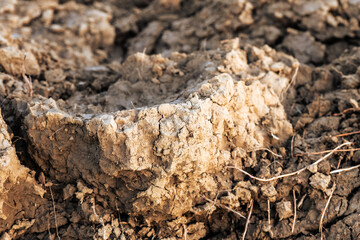 Close-up of a soil clod on a freshly plowed field. Detailed texture of fertile brown earth prepared for agriculture and planting season in autumn.