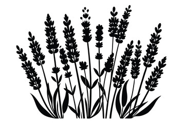 Black and white lavender flowers vector pattern © pipp99