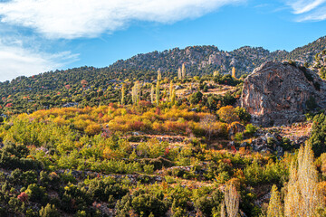 Obraz premium The scenic views of the countryside of Elmalı, Antalya, in the autumn season, with colorful leaves