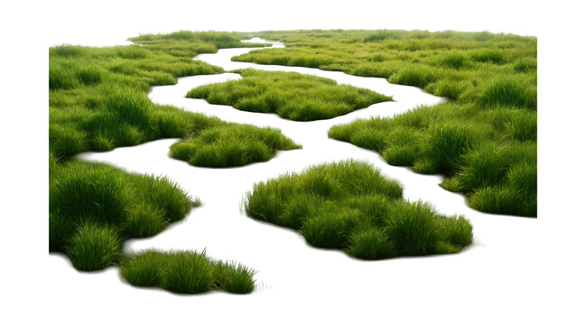 Revitalized wetland featuring visible water channels and scattered reed clusters.