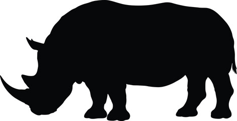 Silhouette, rhinoceros, animal, wildlife, horn, profile, black, nature, safari, grazing, strong, beast, endangered, Africa, thick, legs, powerful, mammal, wild, creature