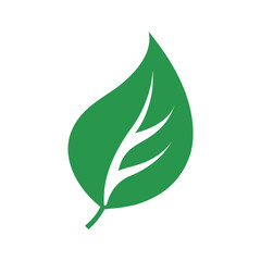 Minimal tree leaf abstract silhouette vector artwork with white background for botanical and creative projects