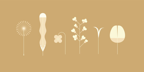 Flower colorful elements collection drawing with light color on beige background