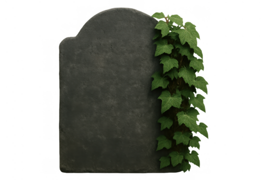 Tombstone with ivy growing on old stone grave marker for death, cemetery, or halloween concepts