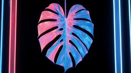 Lit monstera leaf center, neon pink and blue bars against black backdrop, striking contrast, modern aesthetic - Powered by Adobe