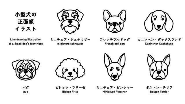 小型犬の正面の顔 線画イラストセット（ベクター） 編集可能なパス