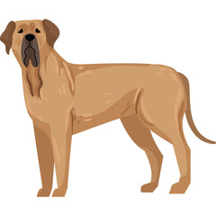 Brown Mastiff Dog Standing in Profile View Against Transparent Background Realistic Illustration Detailed Fur Texture