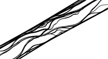 Abstract flowing lines representing organic growth and branching patterns