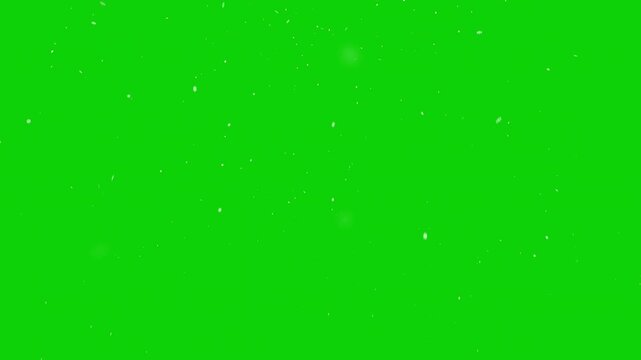 Realistic Snowfall Seamless Animation Loop 4K Overlay in Green Winter Background. Christmas, New Year, Holiday Backdrop. Big and Small Nature Snowflakes Organic Animation.