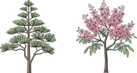 Evergreen pine tree with cones beside pink flowering cherry blossom tree, showcasing seasonal contrast, botanical diversity, perfect for nature, landscaping, garden design, and educational use.