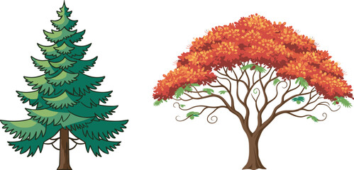 Evergreen pine tree beside vibrant autumn deciduous tree, showcasing seasonal foliage contrast, botanical diversity, perfect for nature, landscaping, education, garden design, and environmental