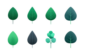 Green leaf set botanical illustration nature foliage plant isolated decorative collection simple fresh and organic design for eco friendly concepts and natural themes