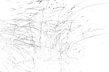 black and white grunge background, dirt line vector