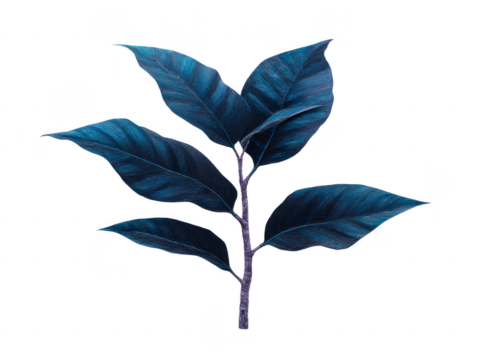 Blue tropical leaf botanical illustration isolated on transparent background elegant foliage decorative plant nature inspired artistic design modern home decor calming mood