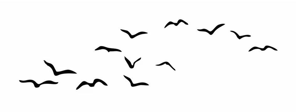 Flying Bird Silhouettes - Flo...