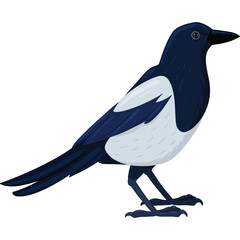A Black And White Pixel Art Magpie Bird Stands On Its Feet With A White Background