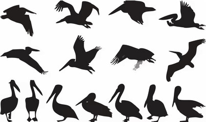 Pelican Silhouettes - Black a...