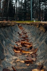 Autumn Leaves in Urban Stone Drainage Channel, Perspective View with Bare Trees and Gloomy Sky